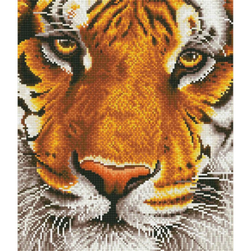 TIGRE DE BENGALA - DIAMOND DOTZ