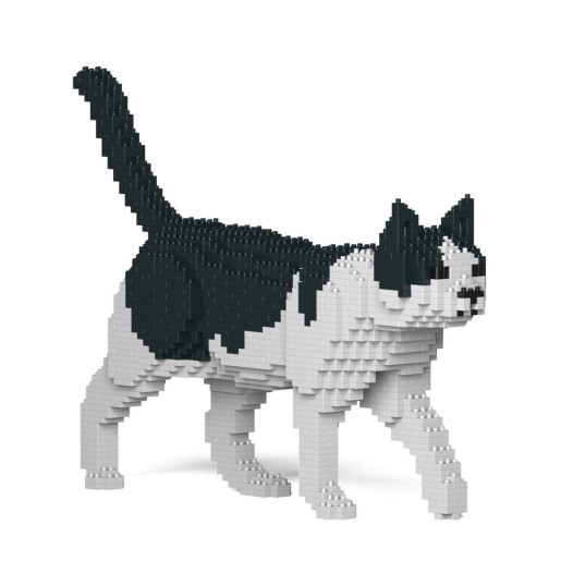 GATO - JEKCA