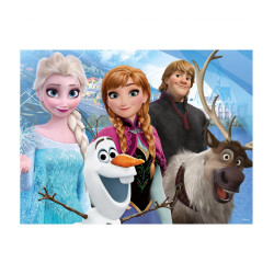 FROZEN 3D LENTICULAR
