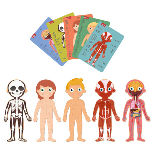PUZZLE EDUCATIVO CUERPO HUMANO