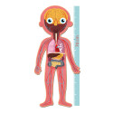 240 - PUZZLE EDUCATIVO CUERPO HUMANO