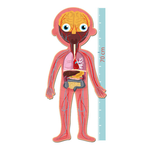 PUZZLE EDUCATIVO CUERPO HUMANO