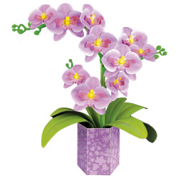ORQUIDEA FLORAL