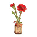 CLAVEL ROJO - ROKR