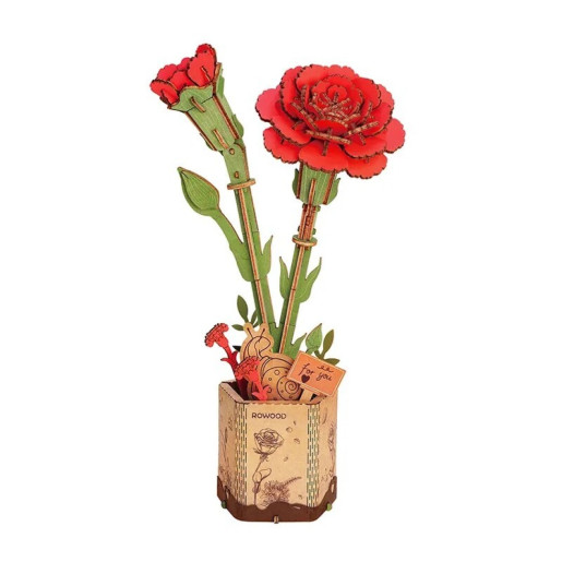 CLAVEL ROJO - ROKR
