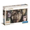 1000 - HARRY POTTER - COMPACT BOX