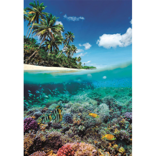 PARAISO DE VERANO - COMPACT BOX