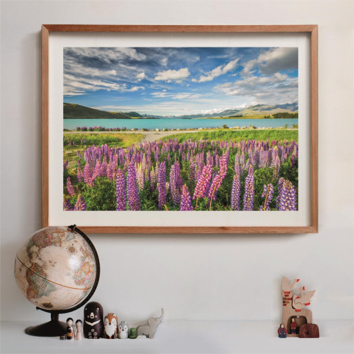 LUPINOS EN EL LAGO TEKAPO - COMPACT BOX