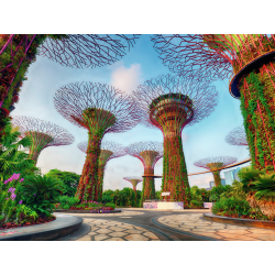 JARDIN JUNTO A LA BAHIA