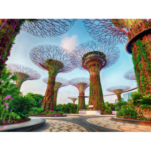 JARDIN JUNTO A LA BAHIA