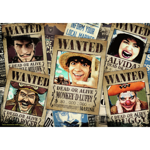 ONE PIECE, PUZZLE MOMENT