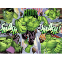 MARVEL HULK