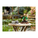 LEGO BOTANICAL COLLECTION BOTANICAL BONSAI