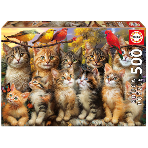 GATITOS- EDUCA