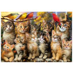 GATITOS- EDUCA