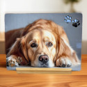 FOTOPANEL MASCOTAS HUELLAS