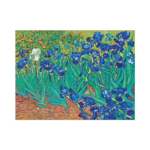 LIRIOS DE VAN GOGH - PAPERBLANKS