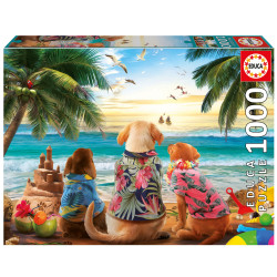 PERROS EN LA PLAYA - EDUCA