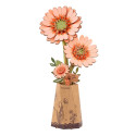 GERBERA NARANJA CLARO - ROKR