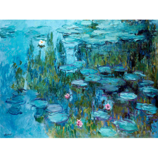 200 - NENUFARES - CLAUDE MONET SPUZZLES