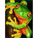 RANA ARBORICOLA VERDE - DIAMOND DOTZ
