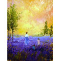 CAMPOS DE LAVANDA - SPUZZLES