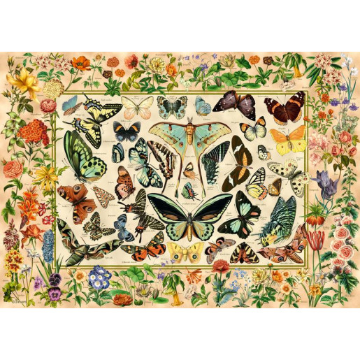 MUNDO BOTANICO - CHERRY PAZZI