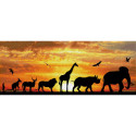 CIELO AFRICANO - DIAMOND DOTZ