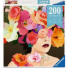 200 - ROSA, PUZZLE MOMENT