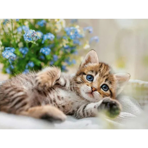 DULCE GATITO - RAVENSBURGER