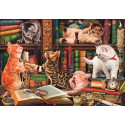 BIGOTES CURIOSOS - COMPACT BOX - CLEMENTONI