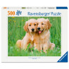 500 - LOS HERMANOS GOLDEN RETRIEVER
