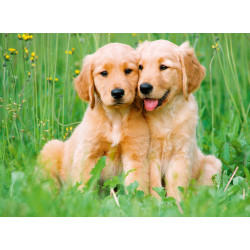 LOS HERMANOS GOLDEN RETRIEVER - RAVENSBURGER