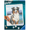 CREART - PASTOR AUSTRALIANO BLUE MERLE