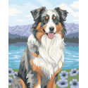 CREART - PASTOR AUSTRALIANO BLUE MERLE - RAVENSBURGER