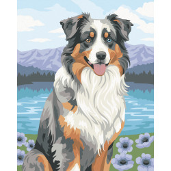 CREART - PASTOR AUSTRALIANO BLUE MERLE - RAVENSBURGER