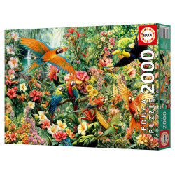 2000 - AVES DEL AMAZONAS - EDUCA