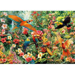 2000 - AVES DEL AMAZONAS - EDUCA