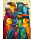 1000 - Club de las Aves - CherryPazzi
