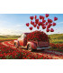 500 Plus - Pickup San Valentín - Educa