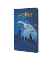 Harry Potter - Escapada a Hogwarts