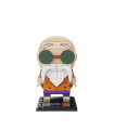 Master Roshi
