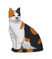 Gato