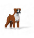 Boxer - Madnesstoys