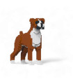 Boxer