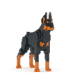 Doberman Pinscher