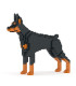 Doberman Pinscher - Madnesstoys