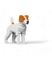 Jack Russell