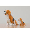 Beagle Mini