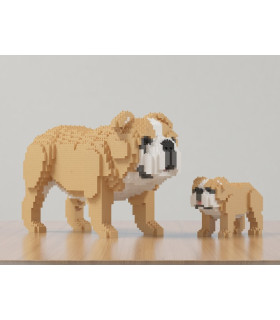 Bulldog Inglés Mini